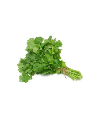 Coriander (Dhaniya)